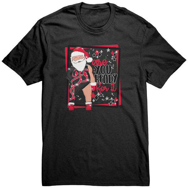 Taylor Swift Are You Ready For It Christmas Santa Collection