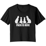 Pack is Here Roller Derby Cat Tee (5 Cuts!)