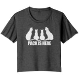 Pack is Here Roller Derby Cat Tee (5 Cuts!)